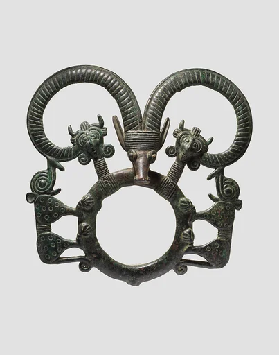 Harness ring