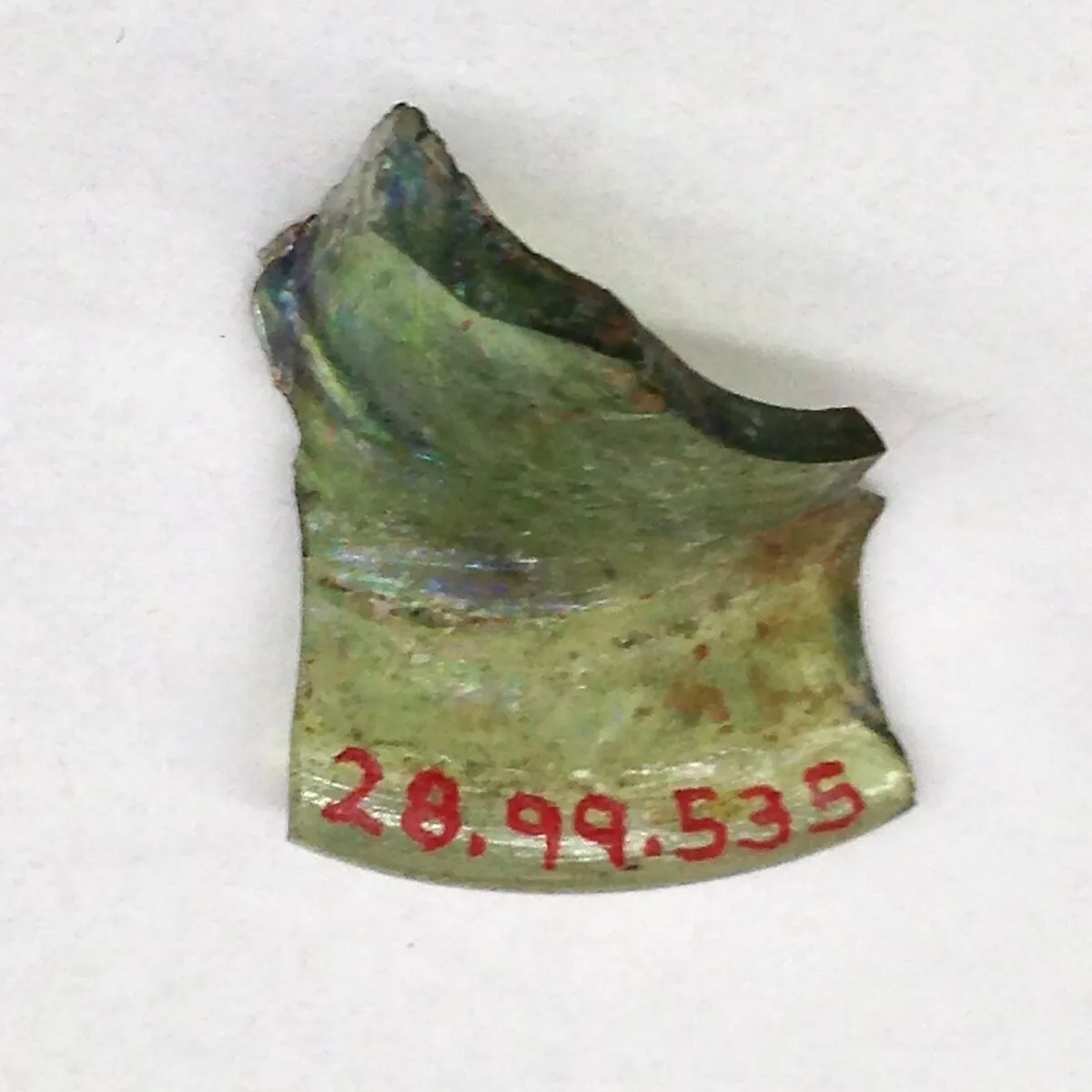Fragment — Unknown