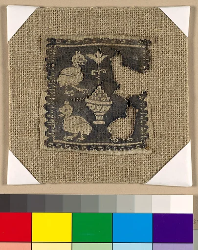 Textile Fragment