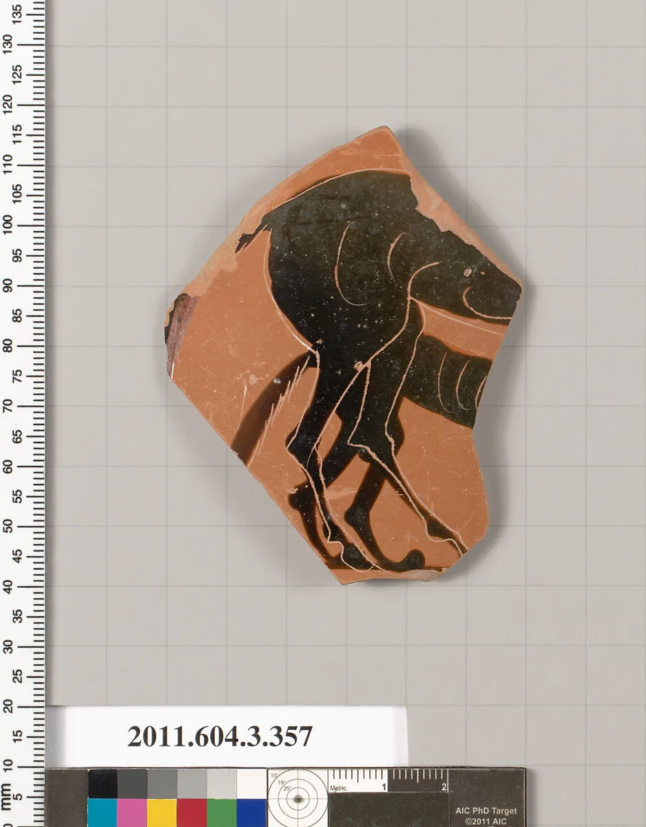 Terracotta fragment of a neck-amphora (jar) — Unknown