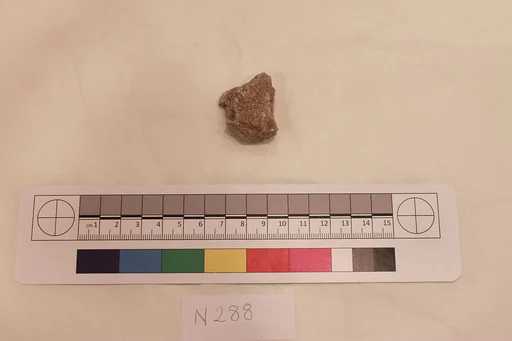 Stucco Fragment