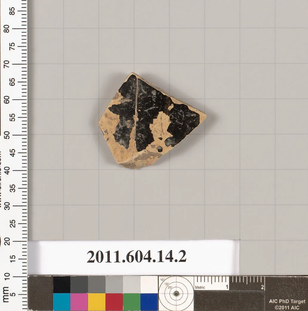 Terracotta fragment of a closed shape — Unknown