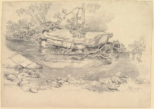 A Rocky Stream