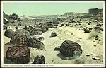 [60 Postcards of Natural Formations Collected by Walker Evans]