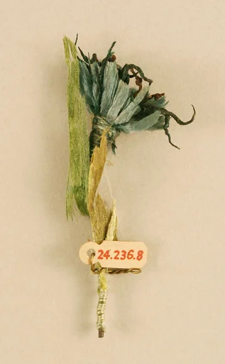 Boutonnière