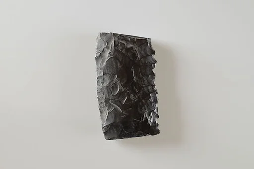 Fragment of a bifacial sickle insert