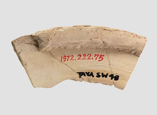 Sherd