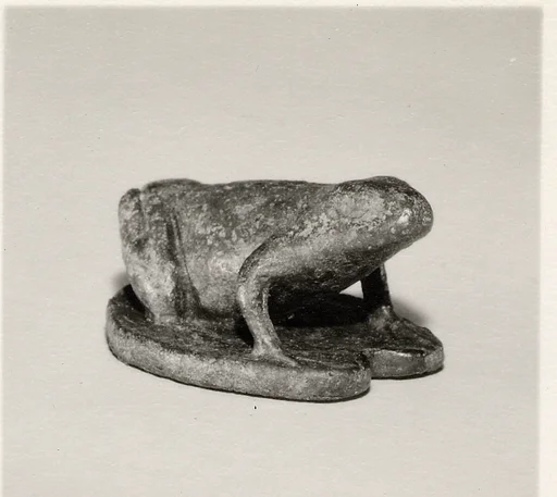 Frog on a lotus pad, perhaps a weight