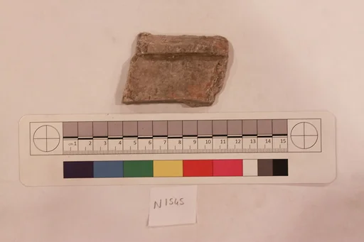 Stucco Fragment