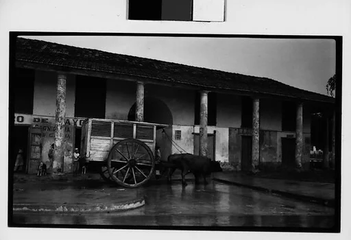 [Oxen-Drawn Covered Cart in Village, Cuba]