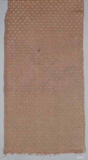 Textile Fragment