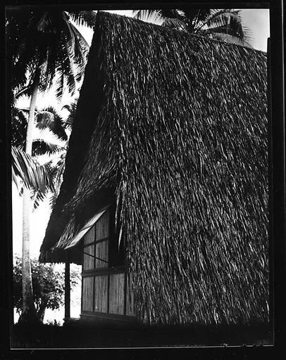 [South Seas: Thatched Roof House]