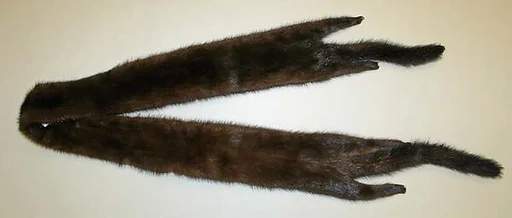 Boa