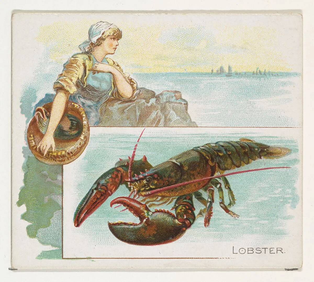 Lobster, from Fish from American Waters series (N39) for Allen & Ginter Cigarettes — Allen & Ginter|Lindner, Eddy & Claus