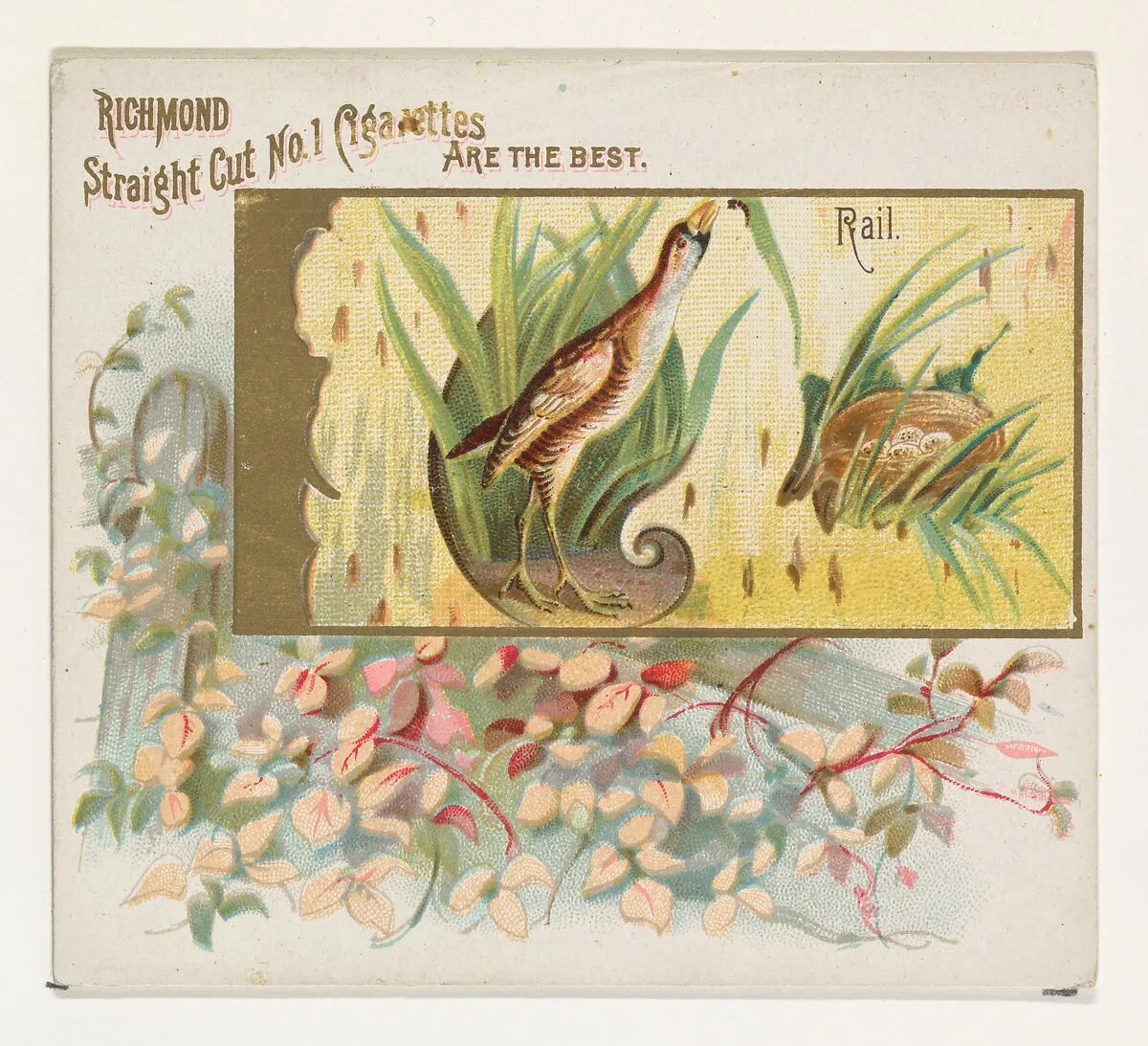 Rail, from the Game Birds series (N40) for Allen & Ginter Cigarettes — Allen & Ginter