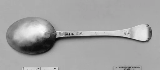 Trifid spoon