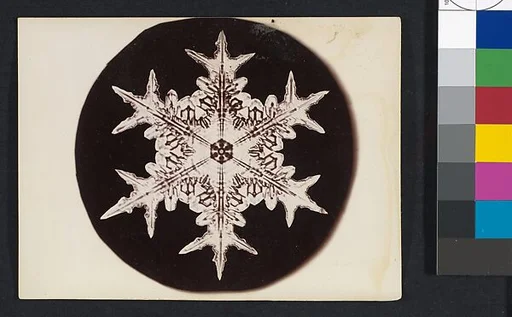 [Snow Crystal]