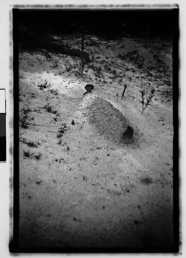 [Grave, Alabama]