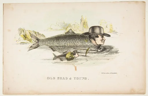 Old Shad & Young, from The Comic Natural History of the Human Race