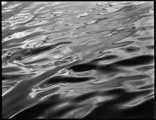 [Water, From Dayboat in Everglades, Florida]