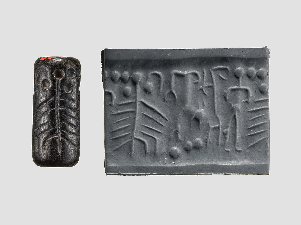 Cylinder seal — Unknown