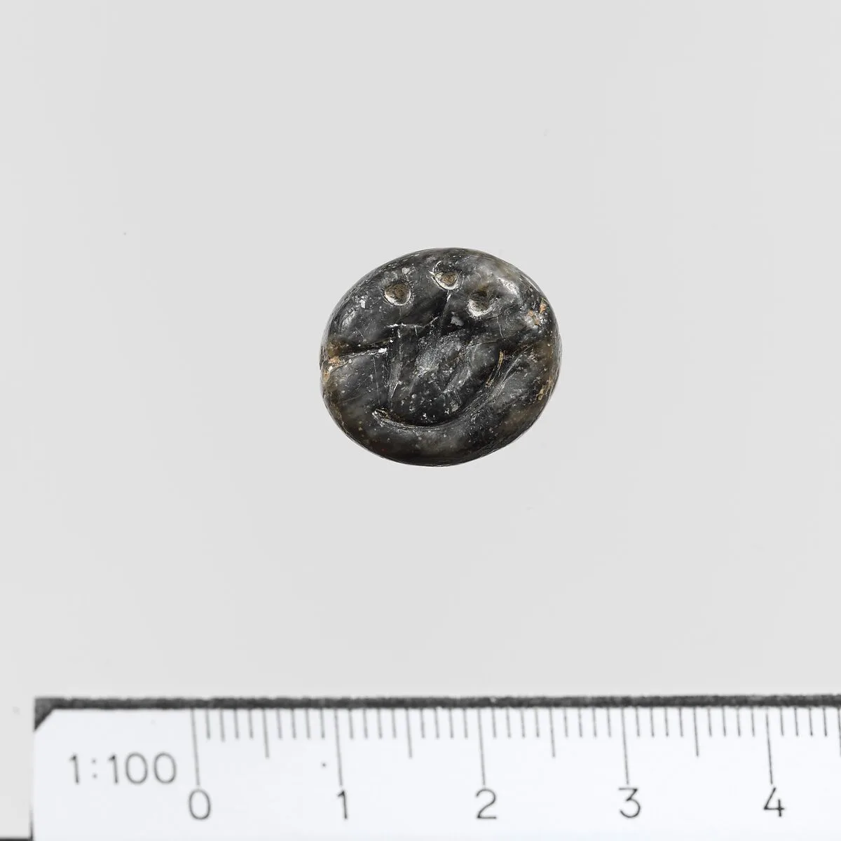 Seal — Unknown
