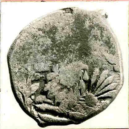 Coin — Unknown