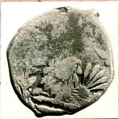 Coin