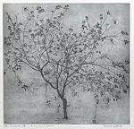 The Second Apple Tree (Il Secondo Melo) — Federica Galli
