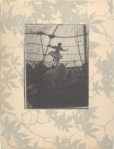 In the Circus