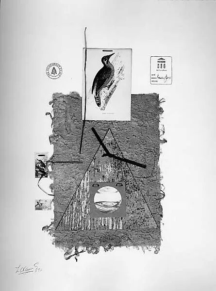 Global Council for Restoration of the Earth's Environment: Green Woodpecker — Llewellyn Xavier