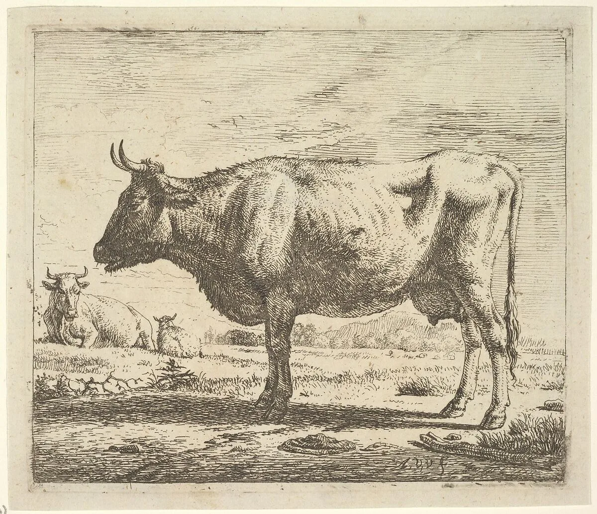 Two Cows and a Sheep, from Different Animals — Adriaen van de Velde