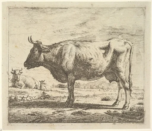 Two Cows and a Sheep, from Different Animals