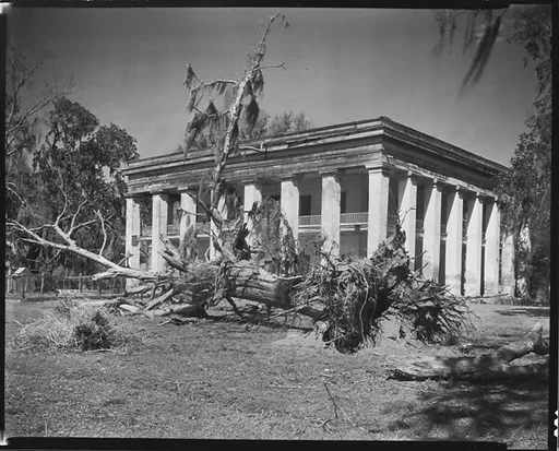 [Belle Helene Plantation House with Uprooted Tree in Foreground, Louisiana]