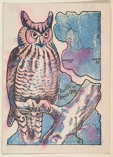The Great Horned Owl, bakery card from the Invisible Color Pictures series (D48), issued by the Keller Baking Company — Keller Baking Company