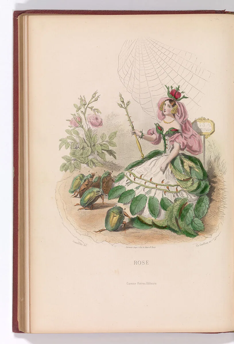 Les Fleurs Animées — Taxile Delord|Garnier Frères|J. J. Grandville|Charles-Michel Geoffroy