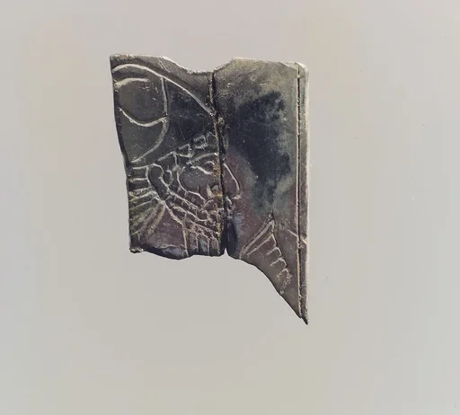 Plaque fragment