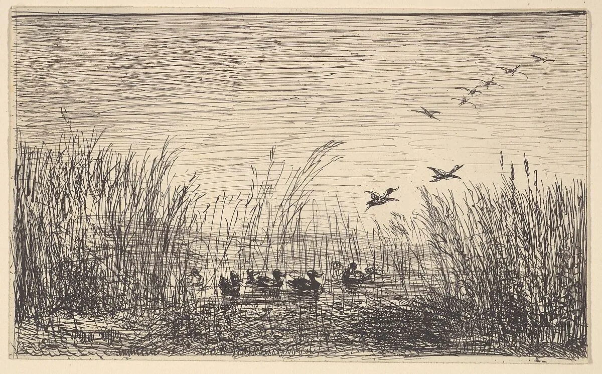 Ducks in the Marshes — Charles-François Daubigny