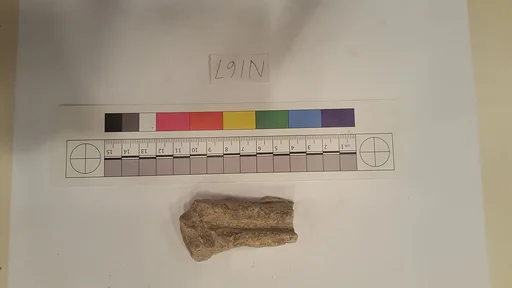 Stucco Fragment