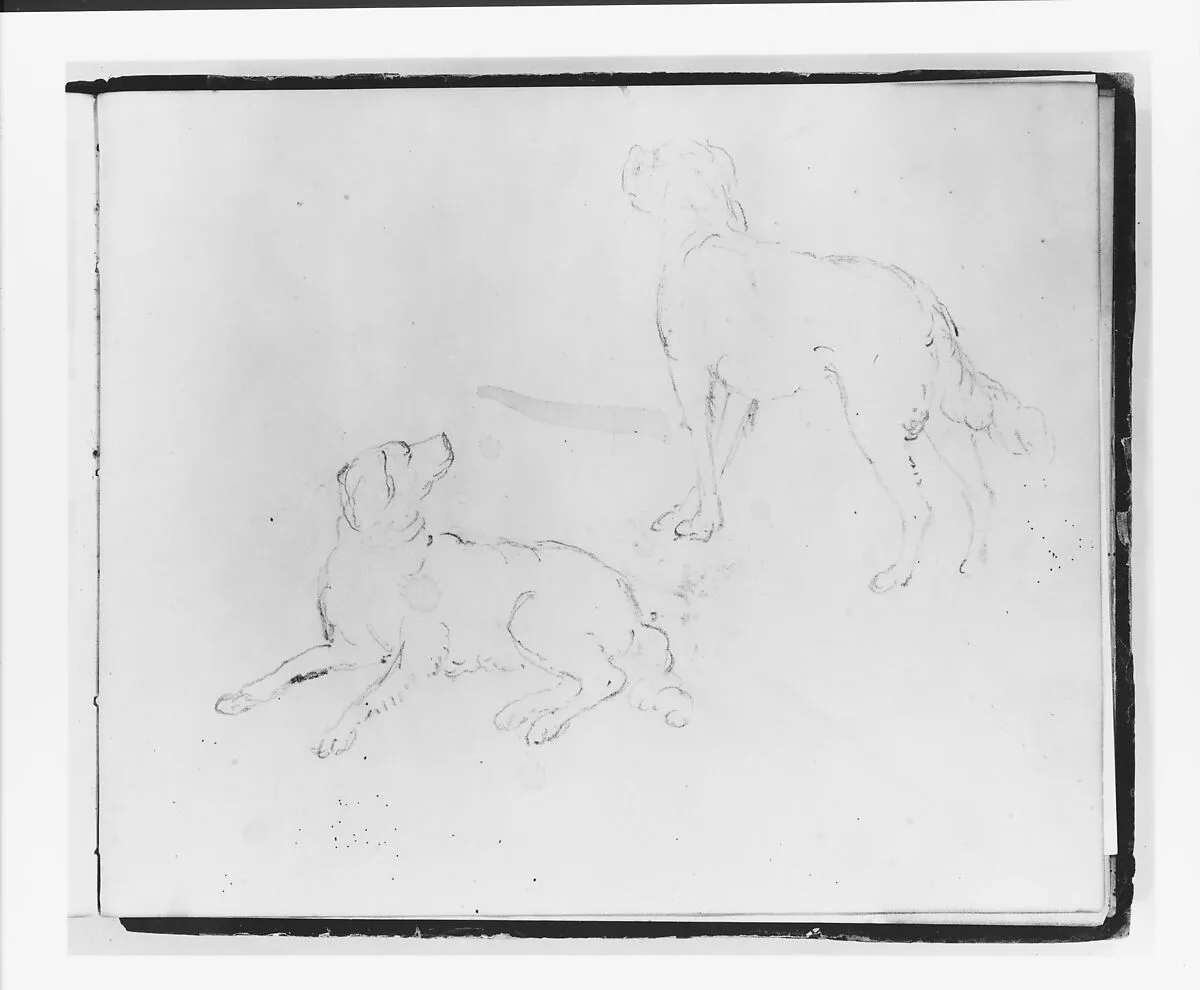 Two Studies of a Dog: Lying Down and Three Quarter Rear View Standing (from Sketchbook) — Francis William Edmonds