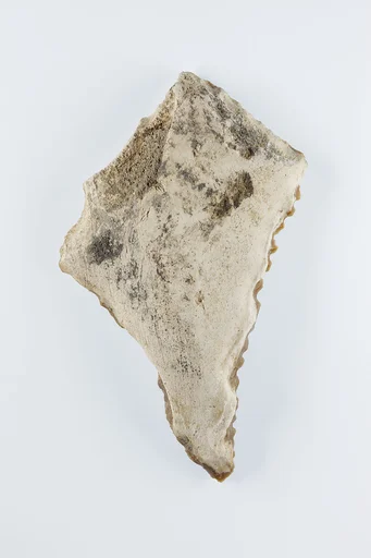 Sickle Insert