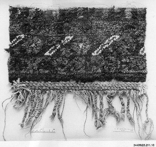 Carpet Fragment
