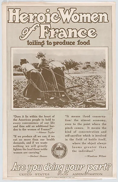 Heroic Women of France — Wynkoop Hallenbeck Crawford Co.|United States Food Administration