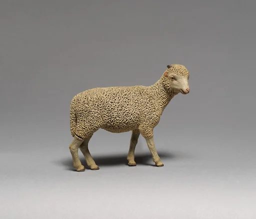 Sheep