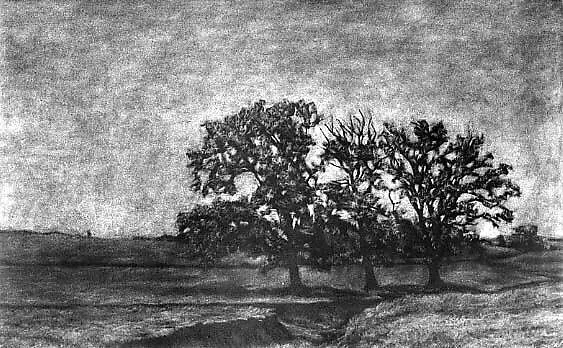 Untitled — David Klamen