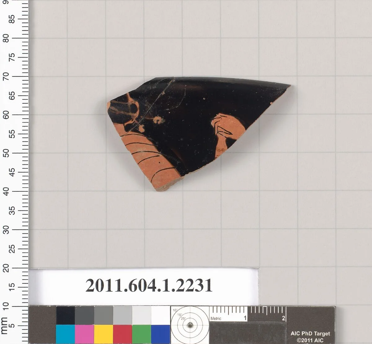 Terracotta rim fragment of a kylix (drinking cup) — Unknown