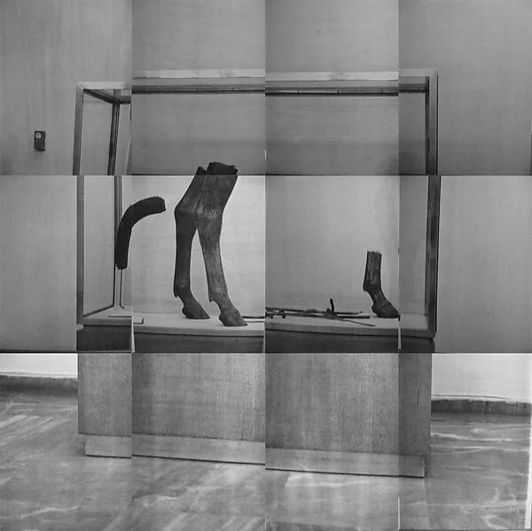 Parts — Lorna Simpson