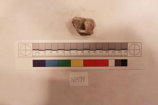 Stucco Fragment