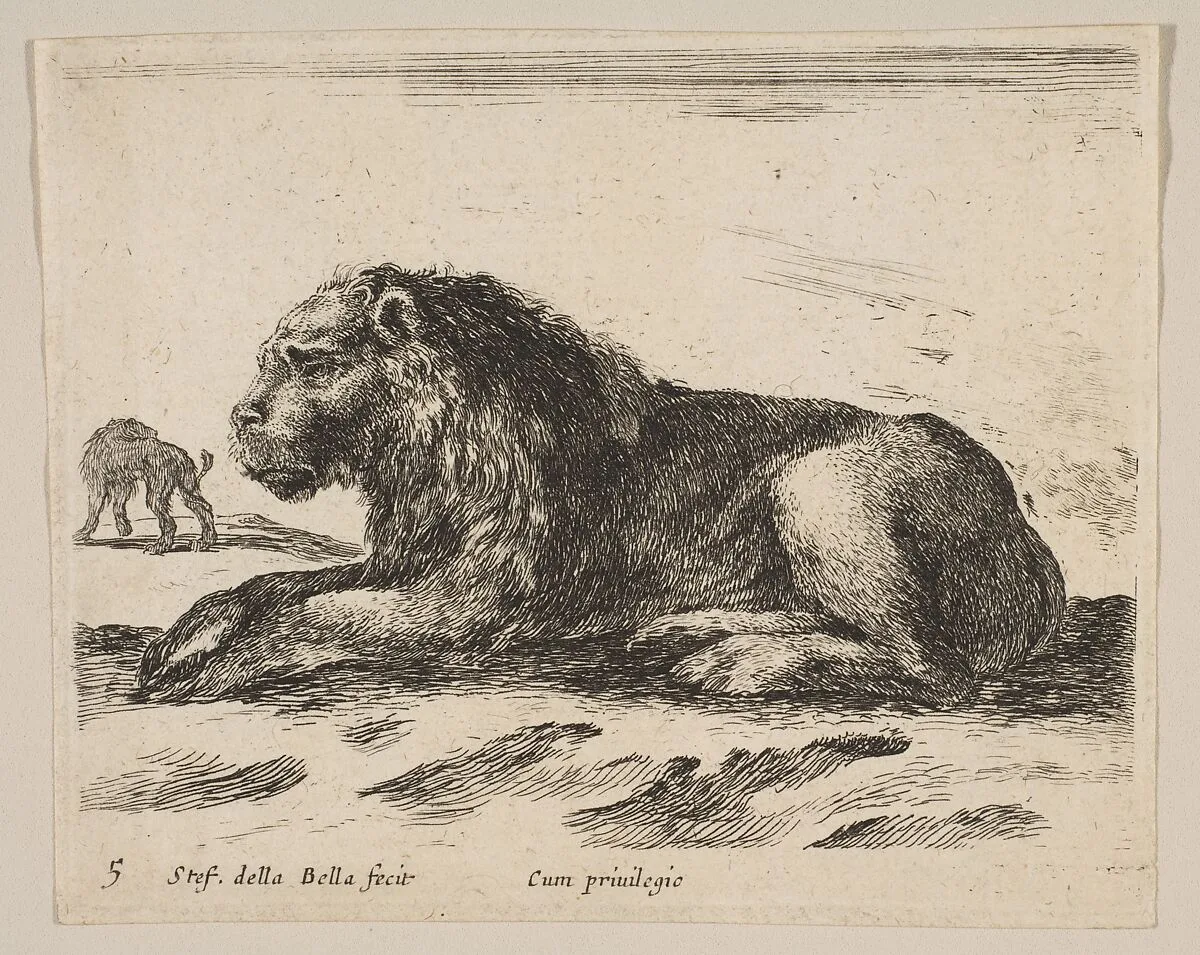 Plate 5: Reclining Lion, from "Various animals" (Diversi animali) — Stefano della Bella|Pierre François Basan