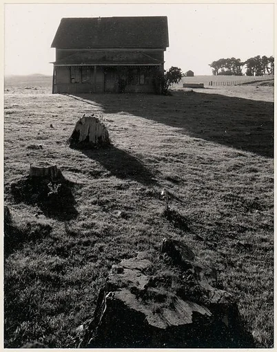 House, Stumps and Pasture, Mendocino, California